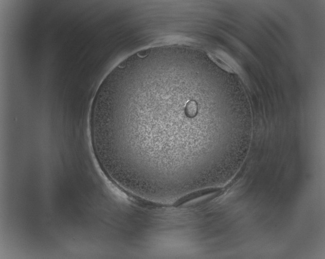 X0000073951055200608281210