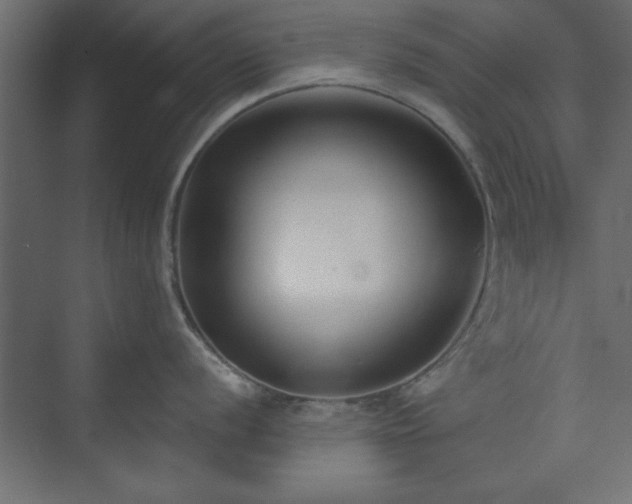 X0000073951056200608281210