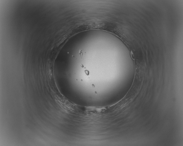 X0000073951058200608281209