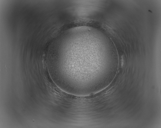 X0000073951059200608281209