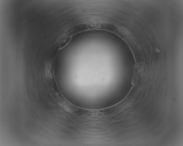 X0000073951060200608281209