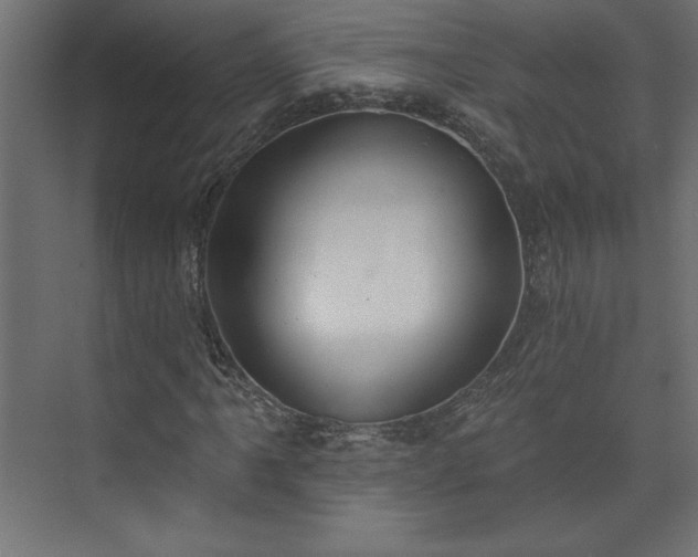 X0000073951061200608281209