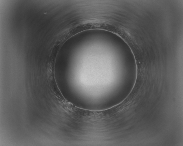 X0000073951062200608281209