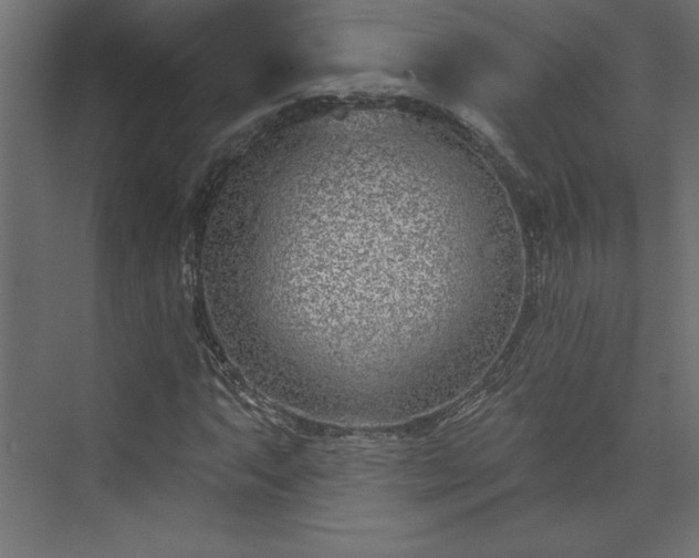 X0000073951063200608281209