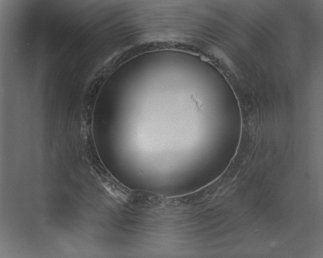 X0000073951064200608281209