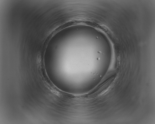 X0000073951065200608281209