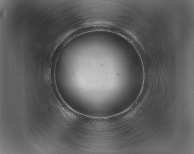 X0000073951066200608281209