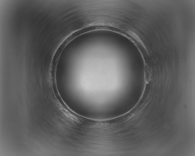 X0000073951068200608281209