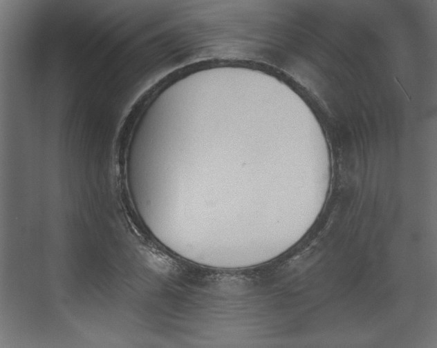 X0000073951070200608281209