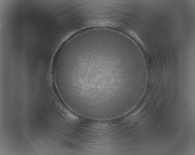 X0000073951071200608281209