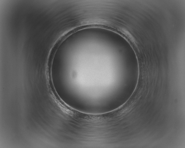 X0000073951072200608281209