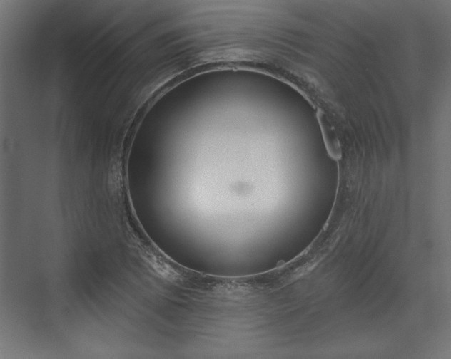 X0000073951073200608281209