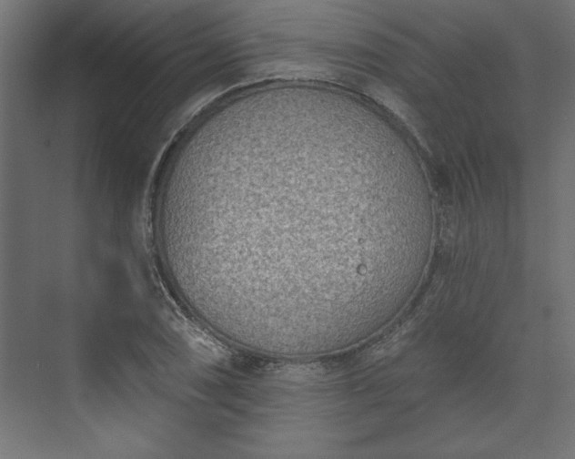 X0000073951074200608281209