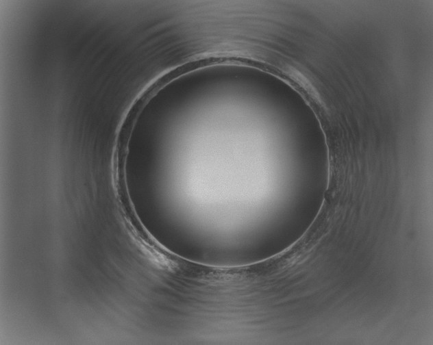 X0000073951076200608281209