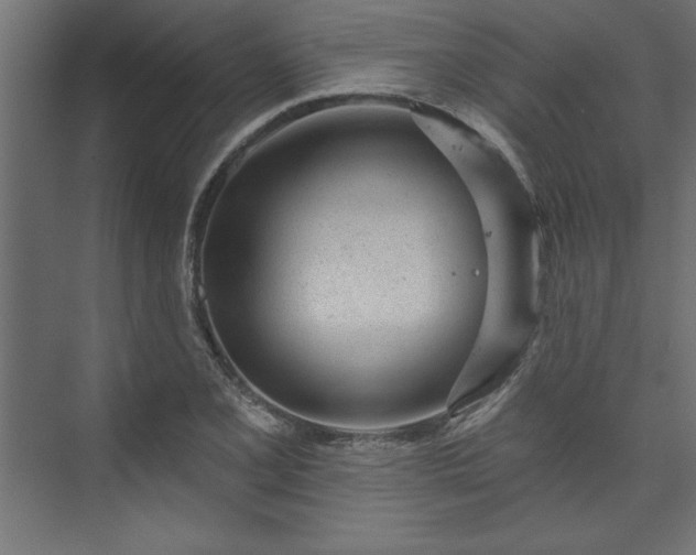 X0000073951077200608281209