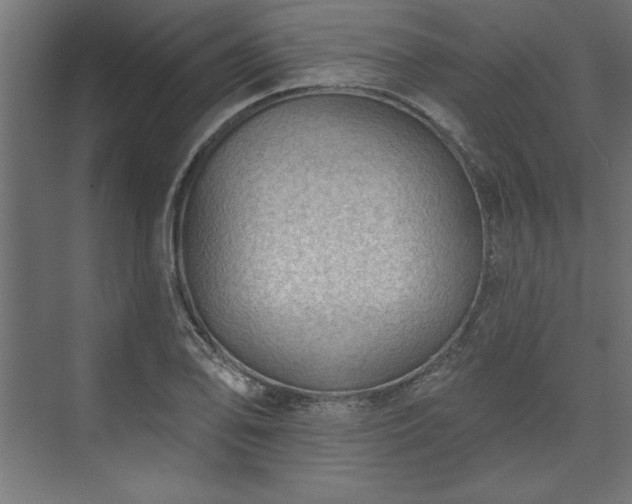 X0000073951078200608281209