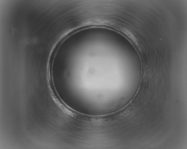 X0000073951080200608281209