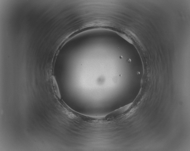 X0000073951081200608281209