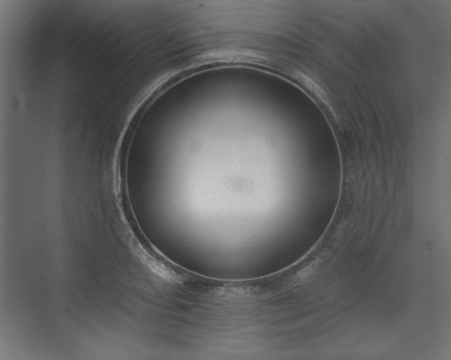 X0000073951082200608281209