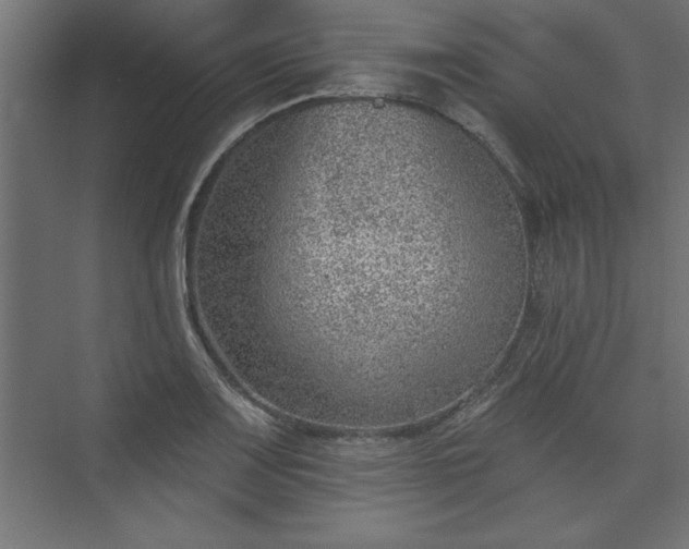 X0000073951083200608281209