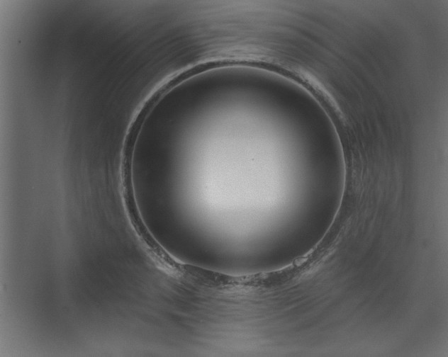 X0000073951085200608281209