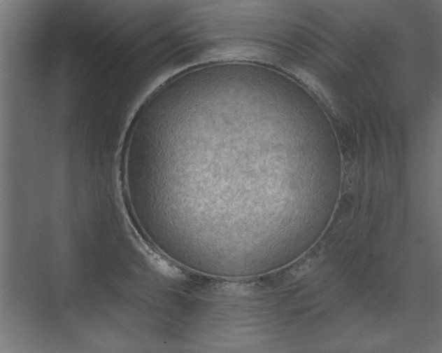 X0000073951086200608281209