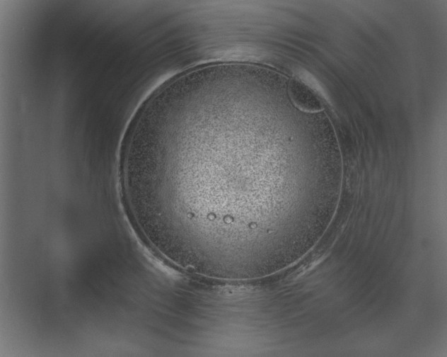 X0000073951087200608281209