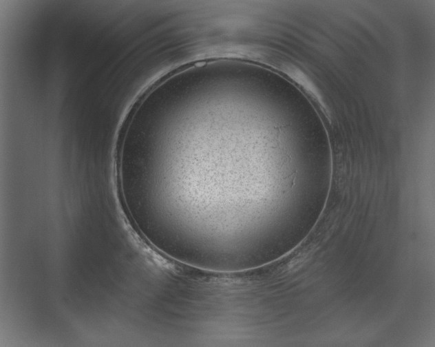 X0000073951088200608281209