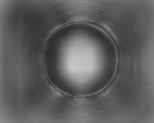 X0000073951089200608281209