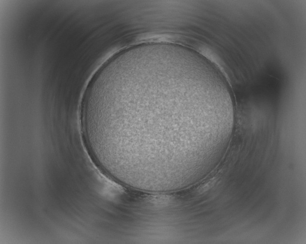 X0000073951090200608281209