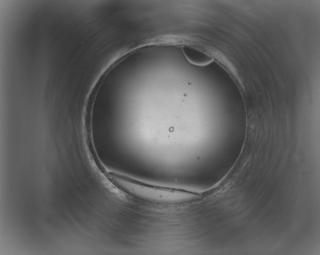 X0000073951091200608281209