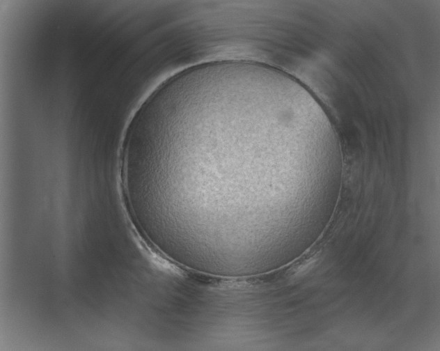 X0000073951094200608281209