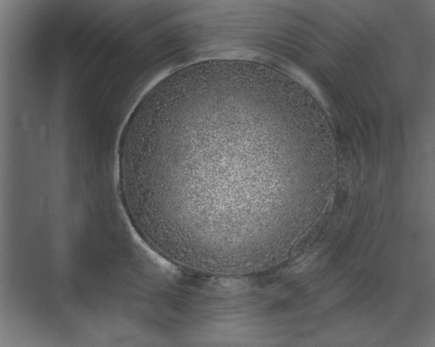 X0000073951095200608281209