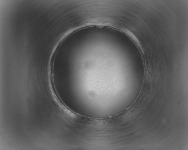 X0000073951096200608281209