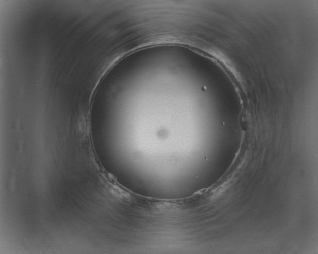 X0000073951097200608281209