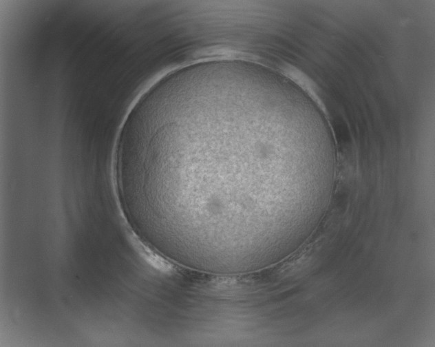 X0000073951098200608281208