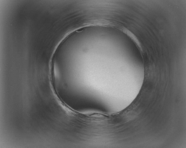 X0000073951099200608281208