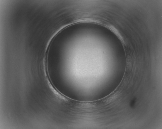 X0000073951100200608281208