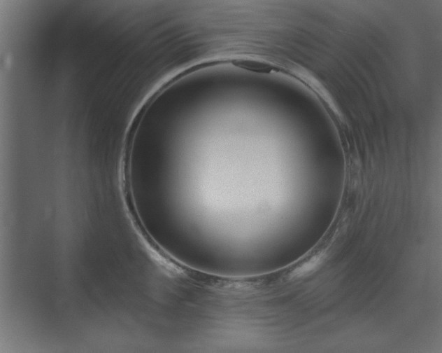 X0000073951101200608281208