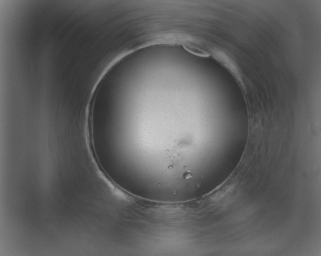 X0000073951103200608281208