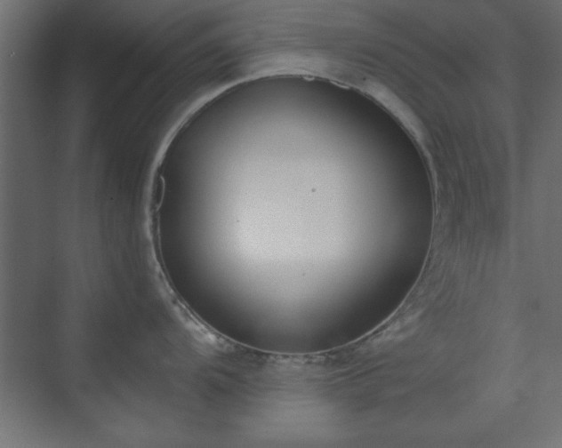 X0000073951104200608281208