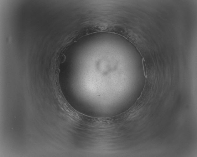 X0000073951105200608281208