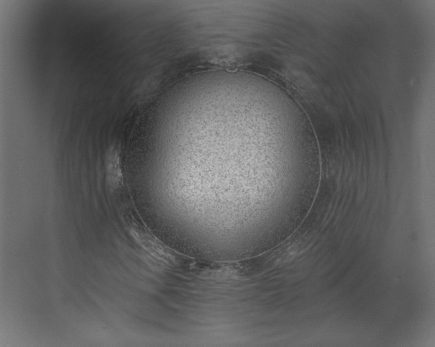 X0000073951106200608281208