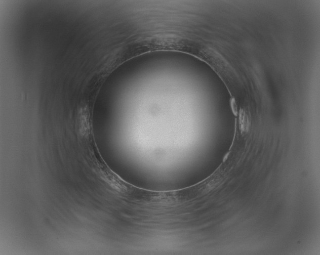 X0000073951107200608281208