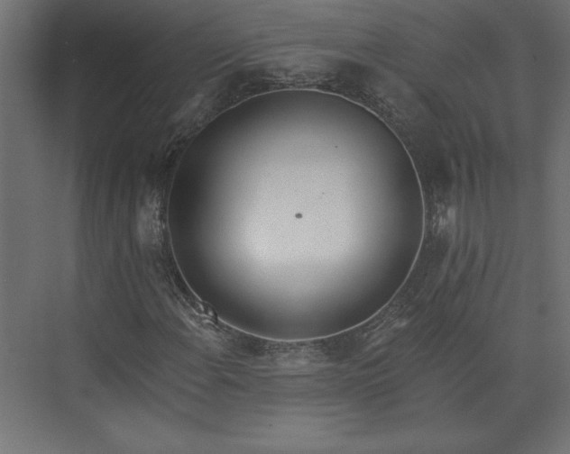 X0000073951108200608281208