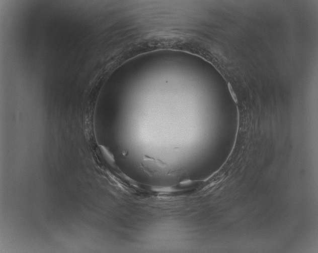 X0000073951109200608281208