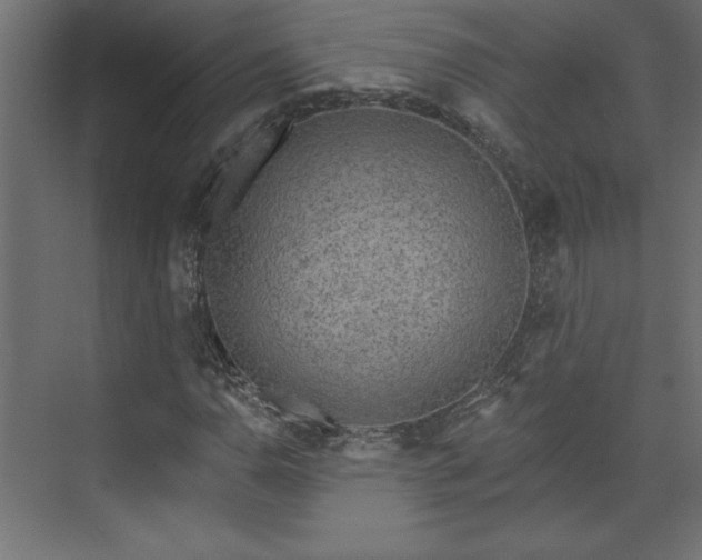 X0000073951110200608281208