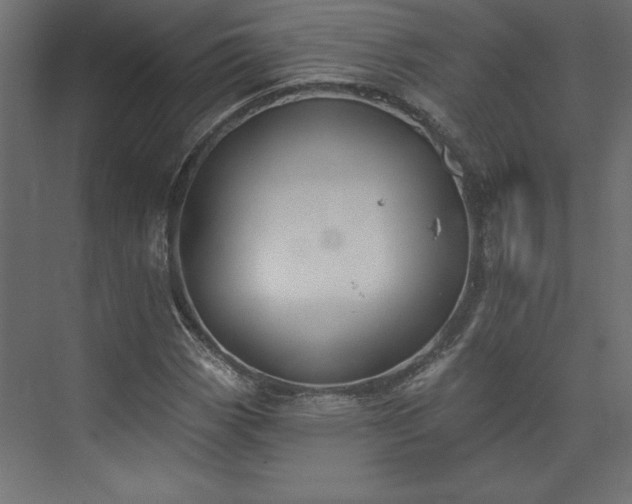 X0000073951113200608281208