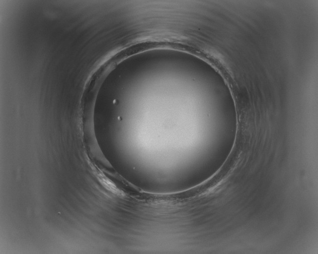 X0000073951114200608281208