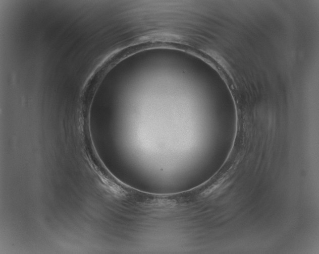 X0000073951115200608281208